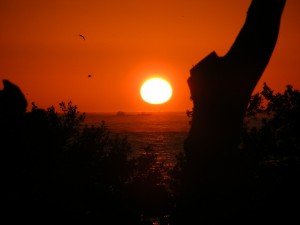 estero-island-sunset